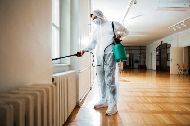 Reliable Wells, NV Pest Control Solutions