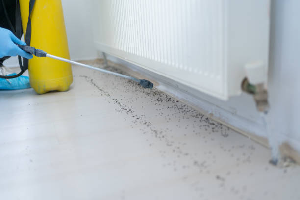 Best Exterminator Services  in Wells, NV